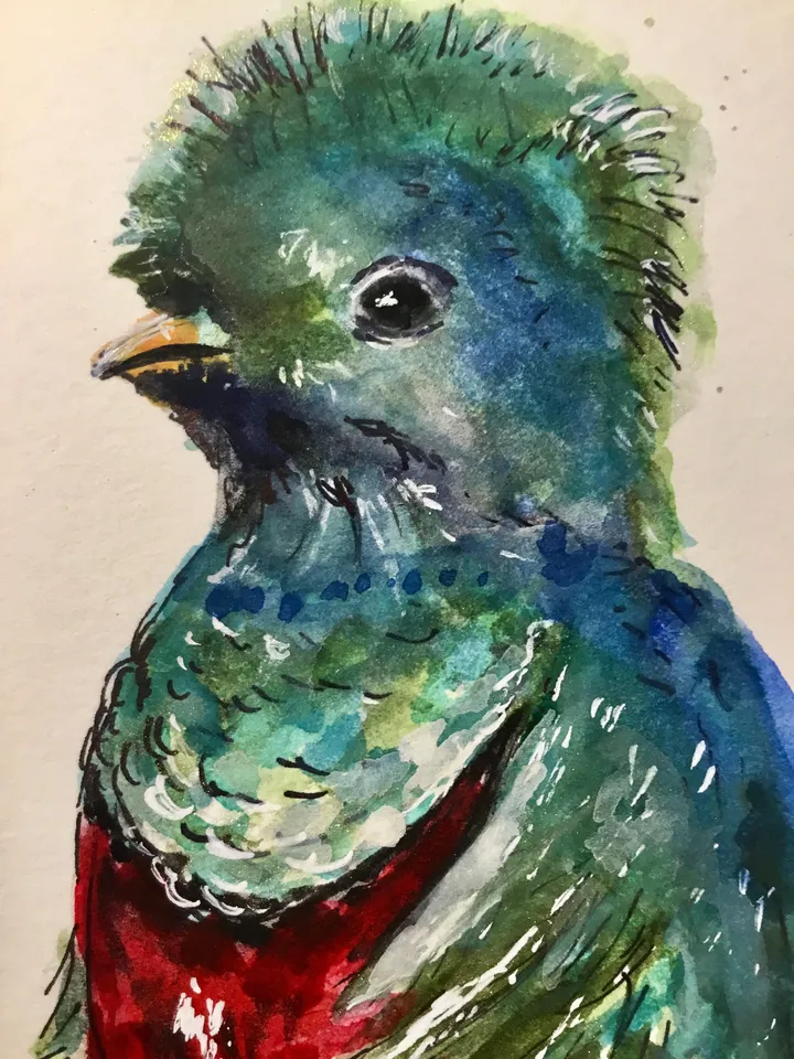 Quetzal bird original watercolour painting,exotic birds painting,watercolor birds wall art,small painting gift,original birds painting.