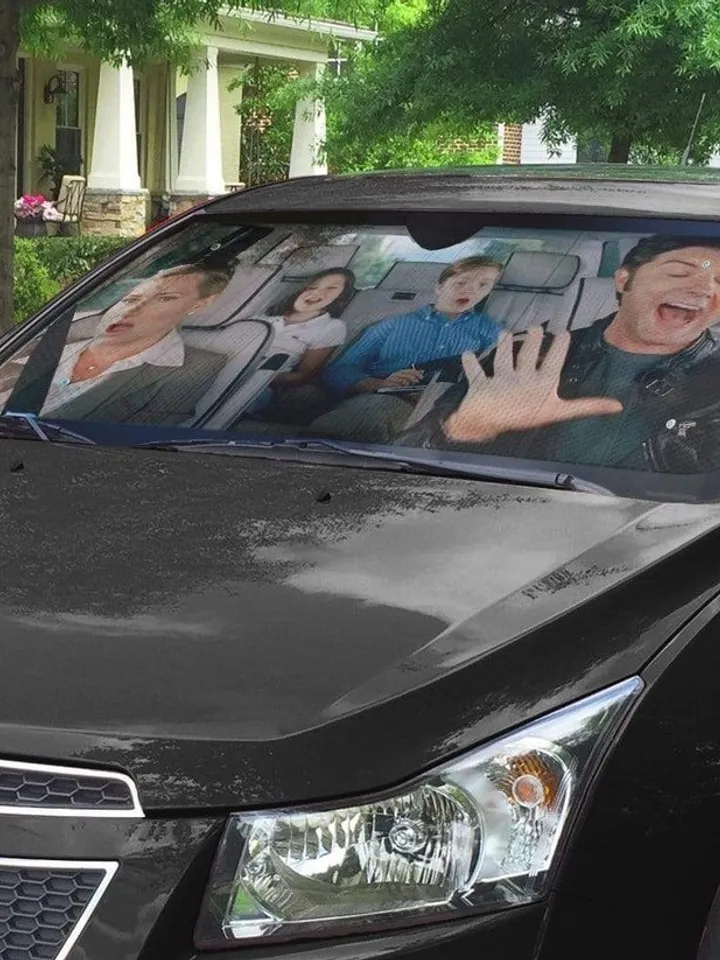 Step Brothers Car Sun Shade