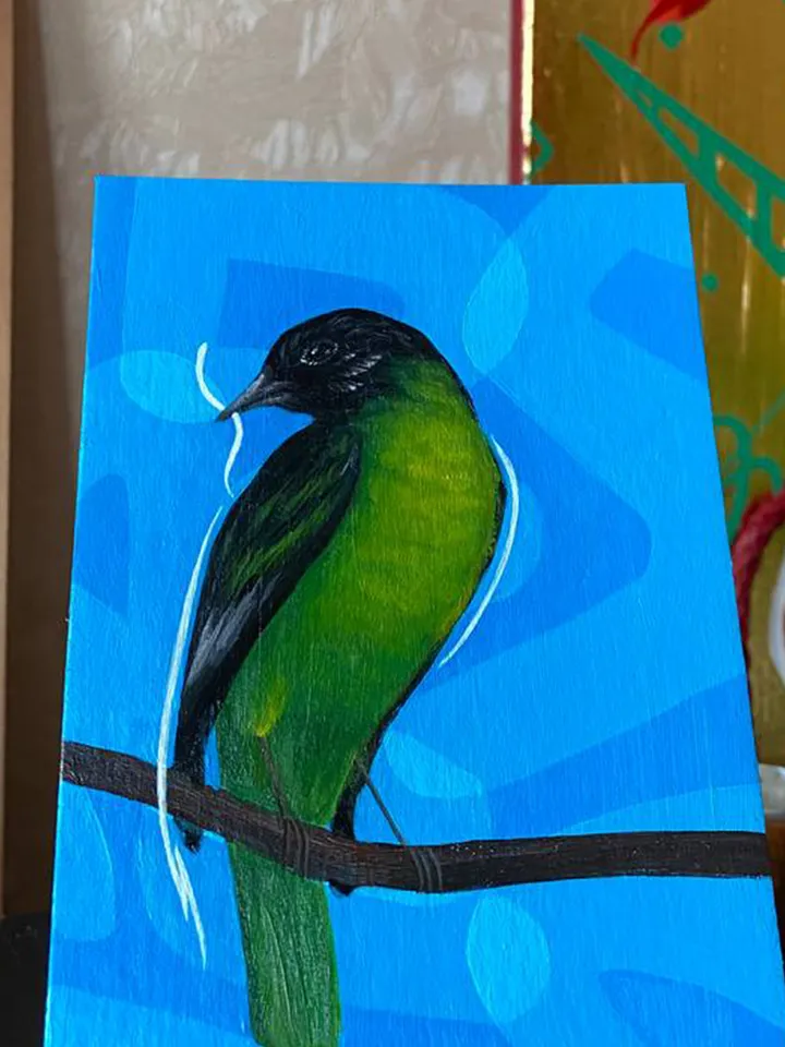 Birds