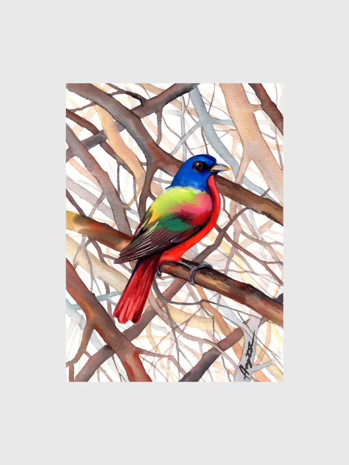 Colorful bird original watercolor illustration, birds painting, wall decor, 7x10 in art for bird lovers by Anne Gorywine