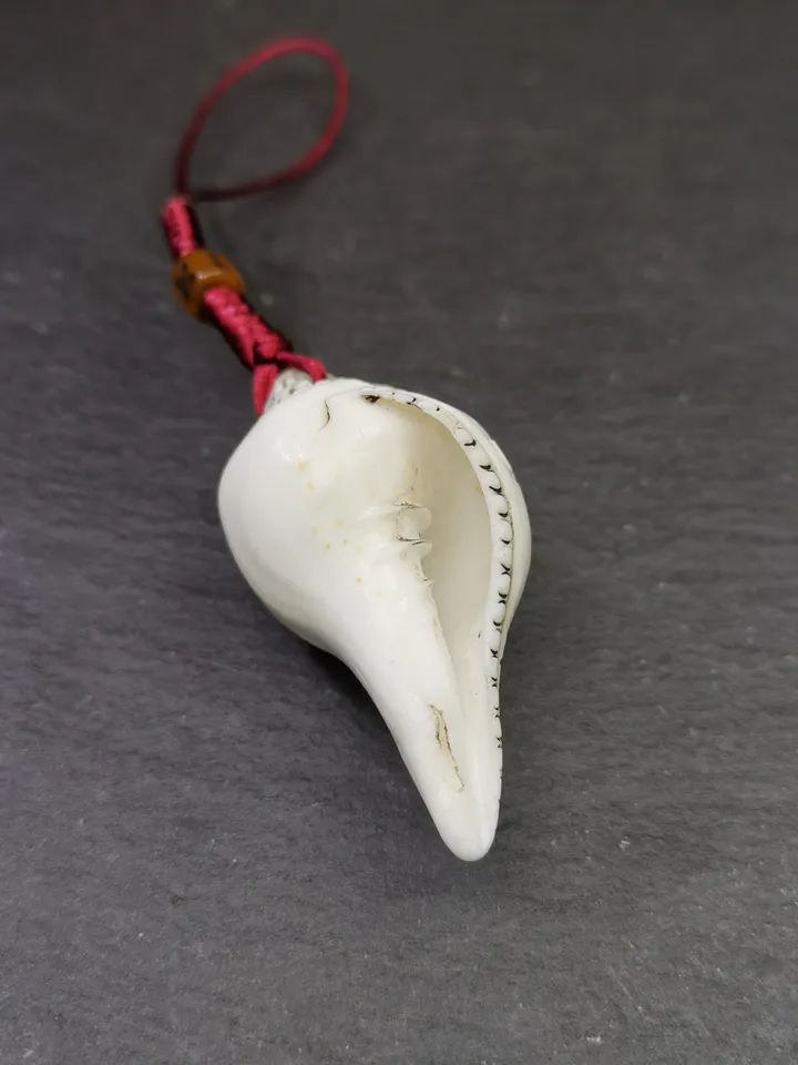 Gandhanra Tibetan Buddhism Amulet,Hand Carved White Conch Shell Shankha with Skull Citipati Symbol,Tibetan Ritual Implement - 2.28" × 1.18"