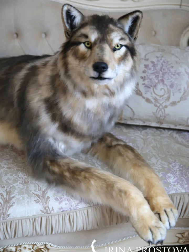 Big Wolf. Hero of the fairy tale "Little Red Riding Hood"