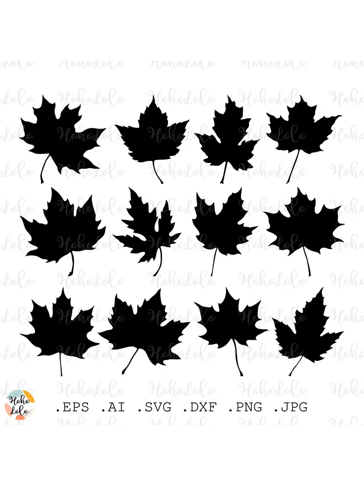 Maple Svg, Leaves Silhouette, Maple Cricut, Maple Stencil, Maple Template Dxf, Maple Clipart Png
