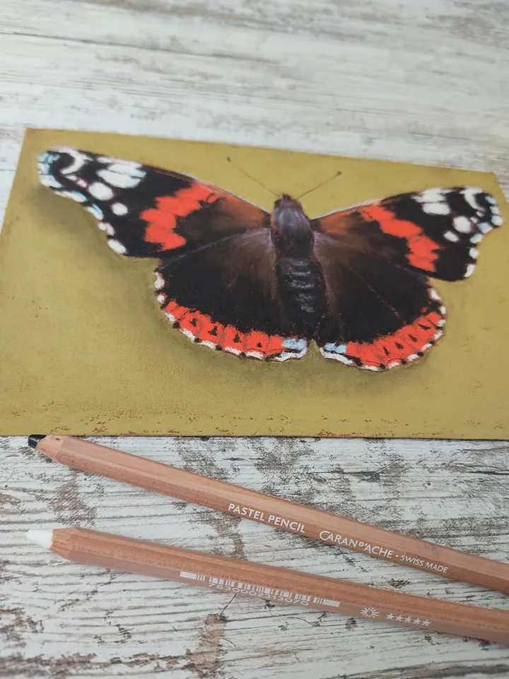 Butterfly. Original soft pastel drawing.