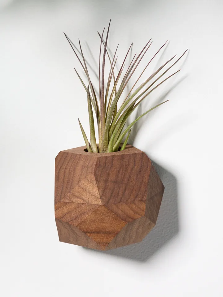 Set of 4 Walnut Geometric Air Plant Holder
