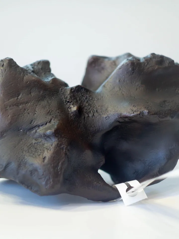 Paranthropus Aethiopicus Skull Replica, Prehistoric Fossil Collection, Realistic Hominid Skull, Museum Quality