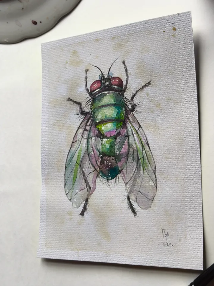Watercolor. Green Fly.