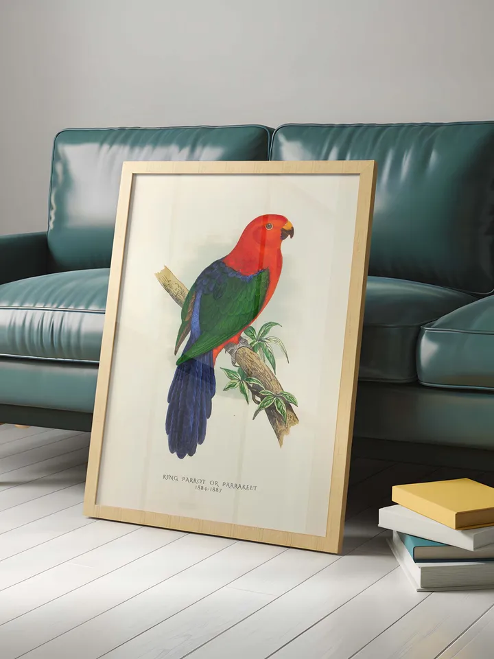 80+ Vintage Parrot Illustration Bundle Colorful Bird Wall Art Retro Parrot Prints Eclectic Antique Style Digital Download for Bird Lovers