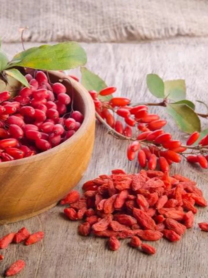Dried Barberry, 1000gr.(35.27oz)
