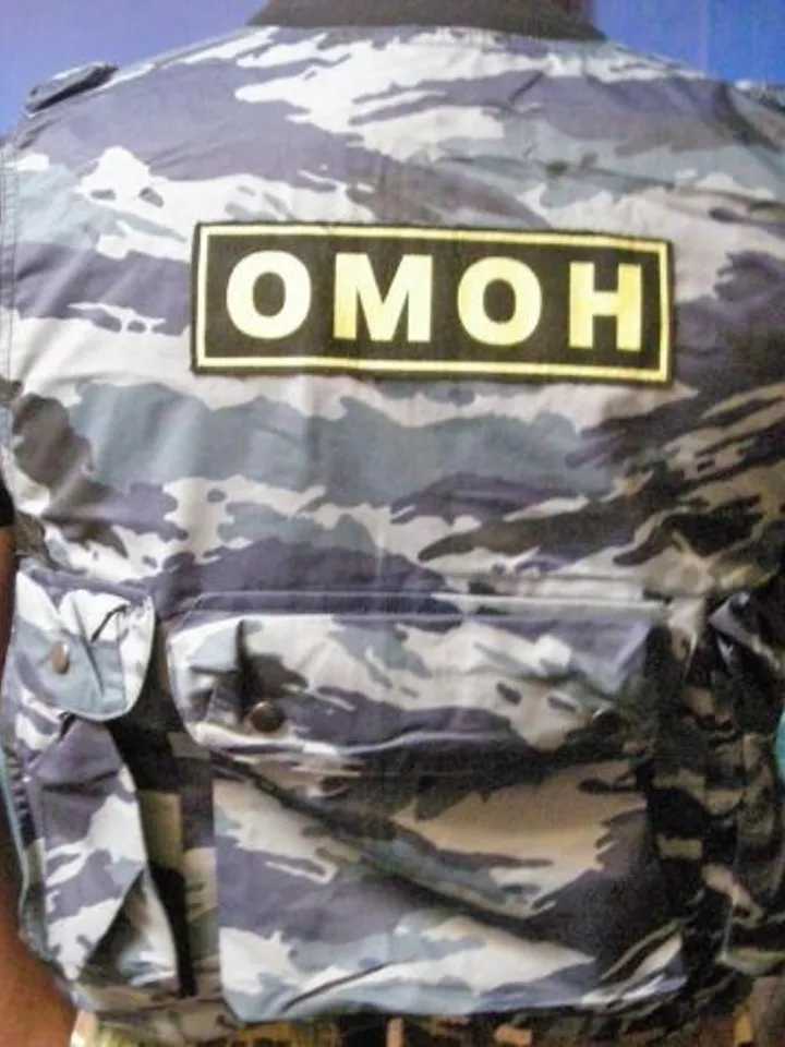 Military Surplus Excellent 1 Winter Jacket Snow Airsof