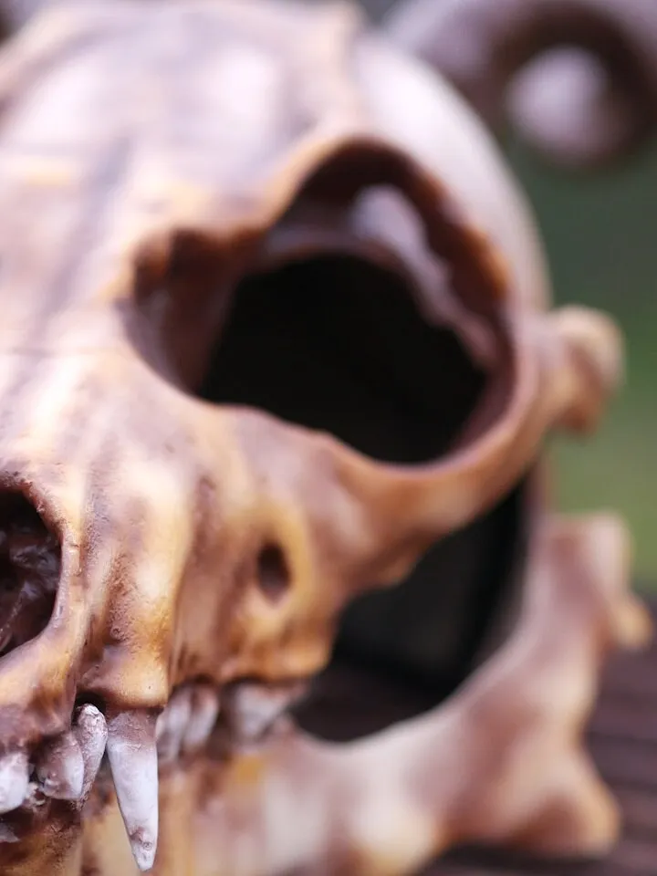 Fox Skull head mask with horn, Antler Mask, Realistic Skull Mask, skull costume mask, Horror Mask, halloween scary mask, creepy mask