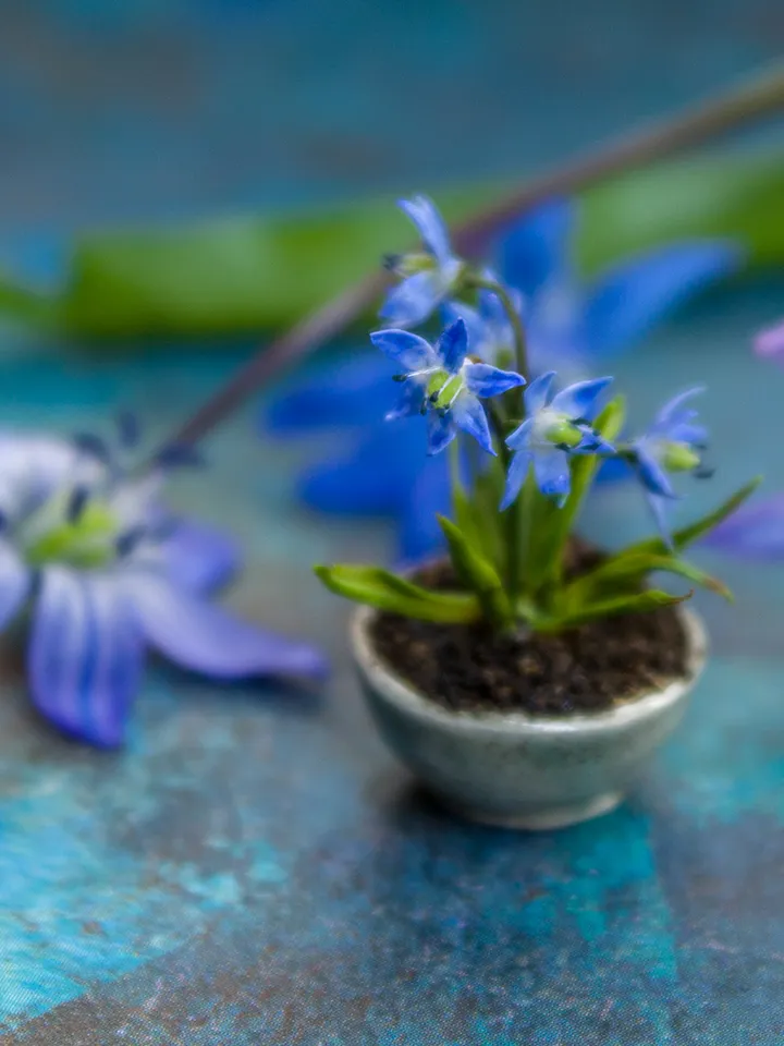 TUTORIAL Miniature wood squill with air dry clay
