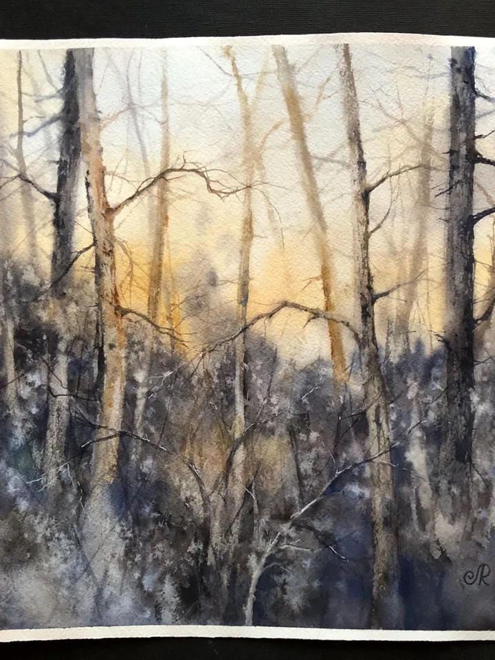 Forest Original Painting Sunset Watercolor Painting Landscape