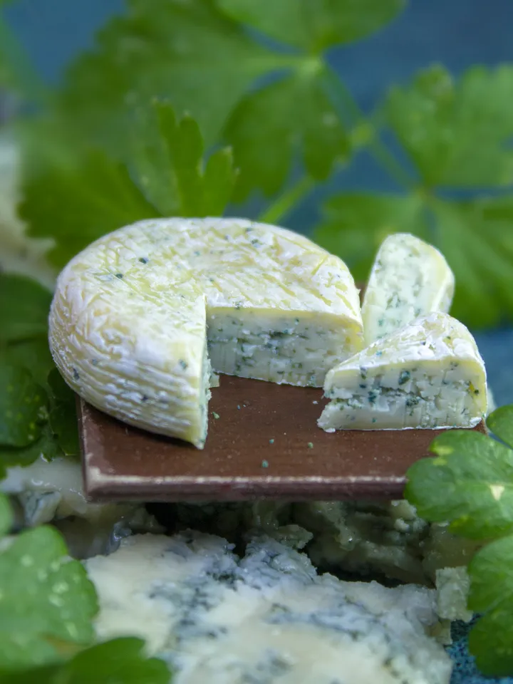 TUTORIAL Miniature blue cheese with polymer clay