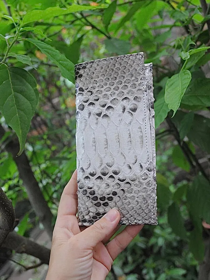 Genuine python skin flat unisex gray uncolored wallet / small money reptile purse / exotic leather snakeprint / cardholder gift idea