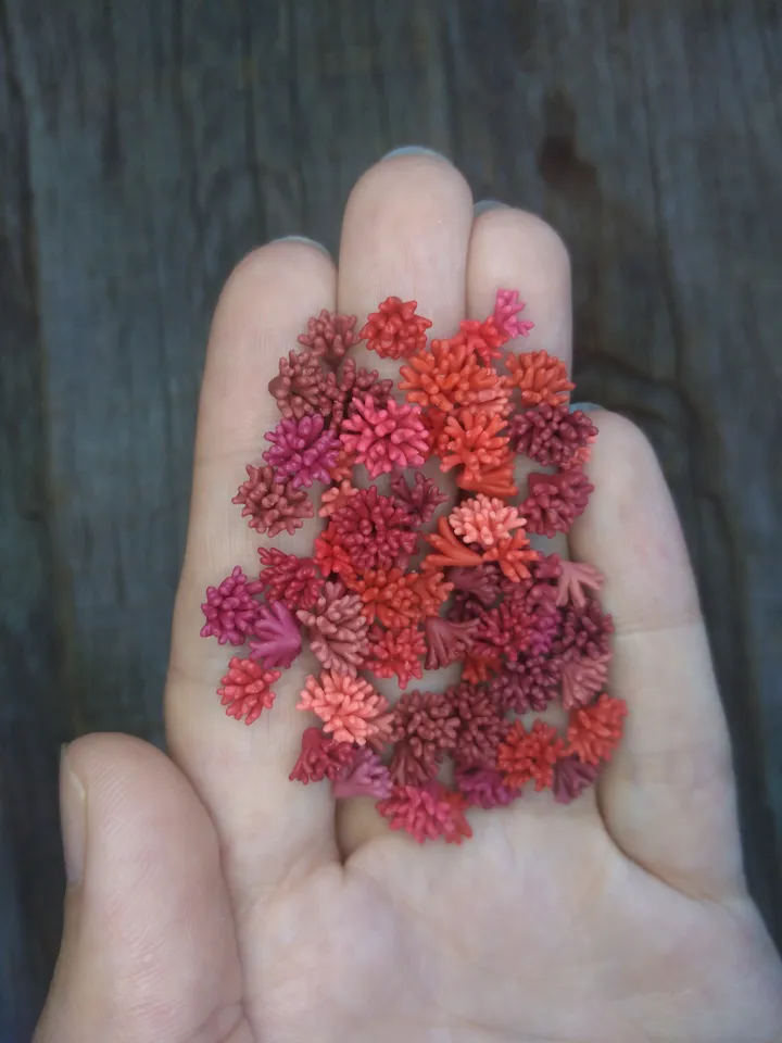 Set of miniature corals shades of red, tiny corals for diorama, dollhouse or resin art