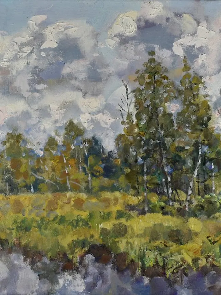 Autumn Painting Landscape Original Art Fall Nature Cloudy Day Birch Trees Canvas