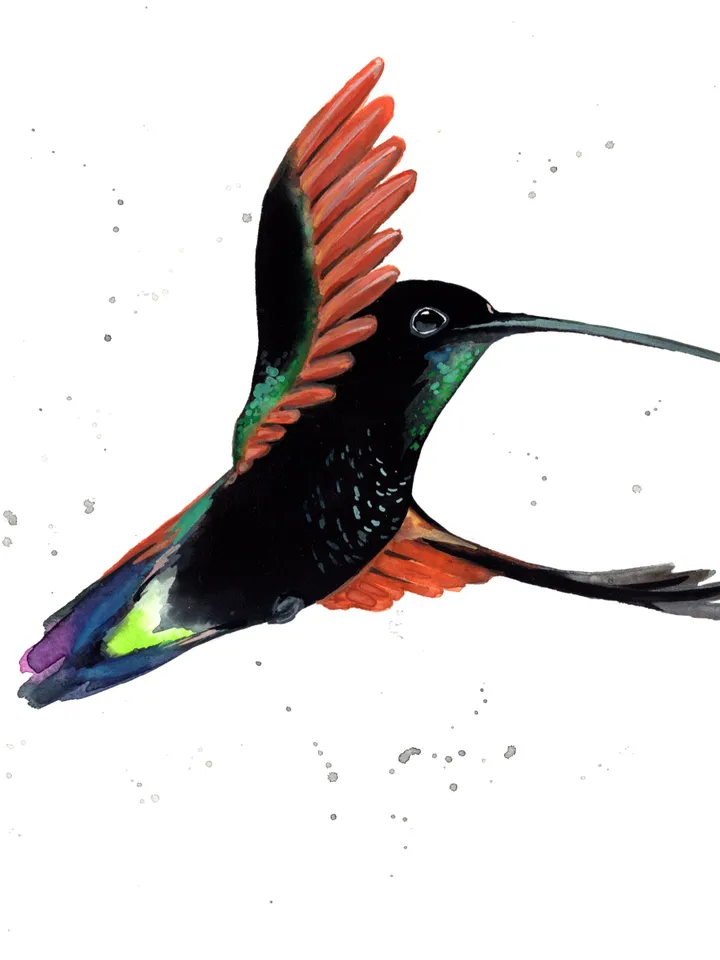 Hummingbird original watercolor painting , bird on the branch, colibri portrait room decor, 8x11 in wall art for bird lovers illustration by Anne Gorywine