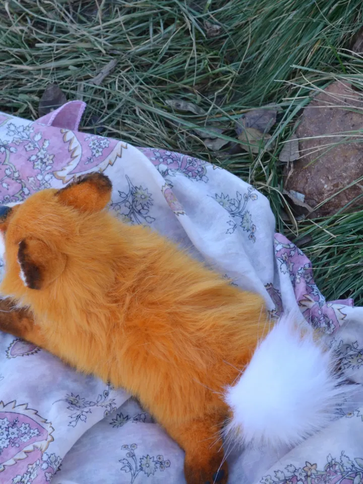 Little fox.