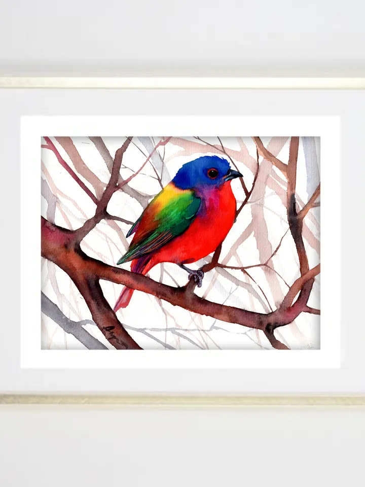 Robin original watercolor, birds painting, wall decor, 7x10 in art for bird lovers by Anne Gorywine