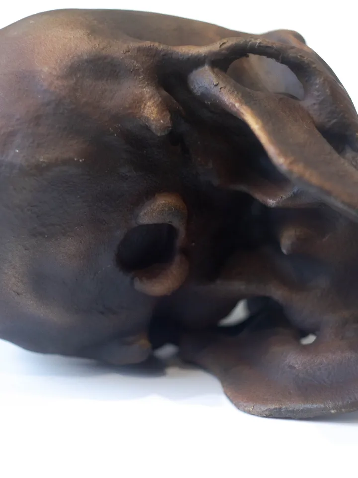 Homo Neanderthal from Spi Cave Skull Replica, Prehistoric Fossil Collection, Realistic Hominid Skull