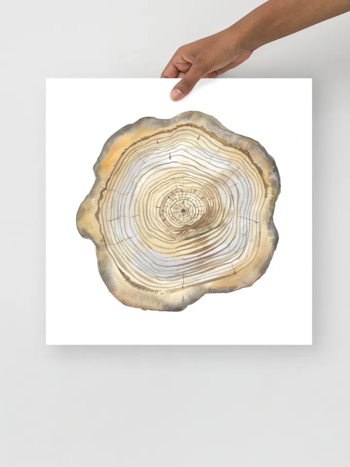 Tree Stump Print Tree Ring Watercolor Wall Art Wood Cut Art Forest Decor Tree Ring Painting Scandinavian Print Minimalist Poster Watercolor