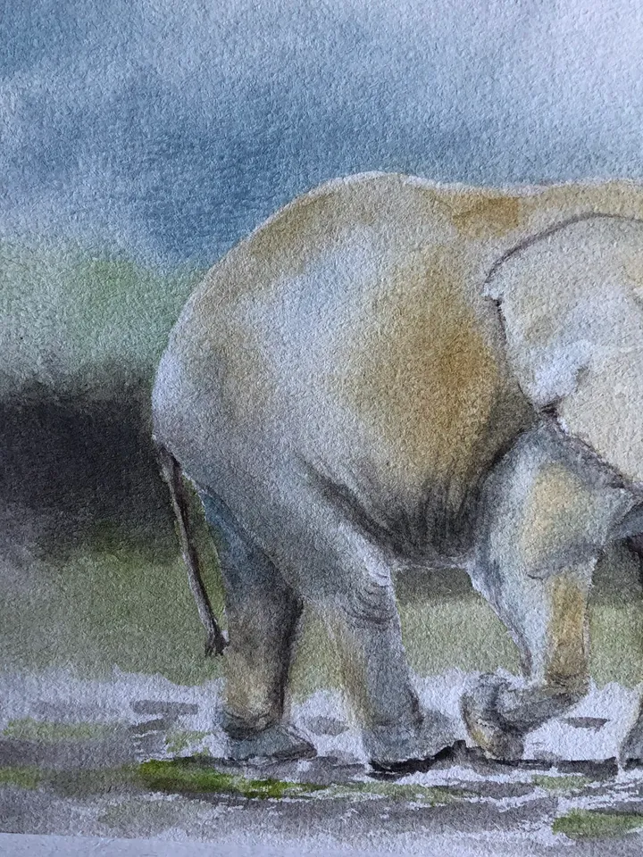 Elephant animal painting living room wall art original watercolour hand painted modern painting