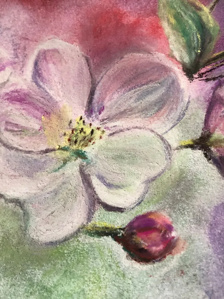 Apple tree blooming original watercolour and soft pastel painting hand painted modern painting wall art 8x11 inch