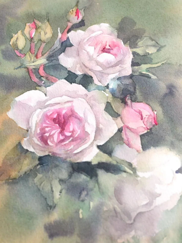 Roses painting Original watercolor flowers by Yulia Evsyukova
