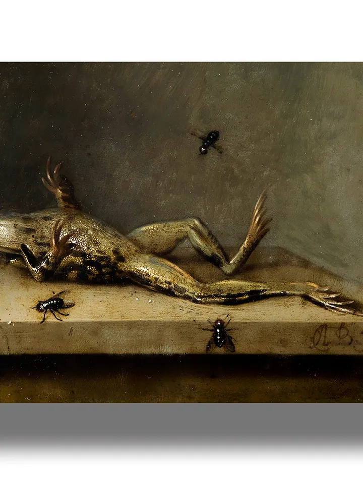 Dead frog with flies.
