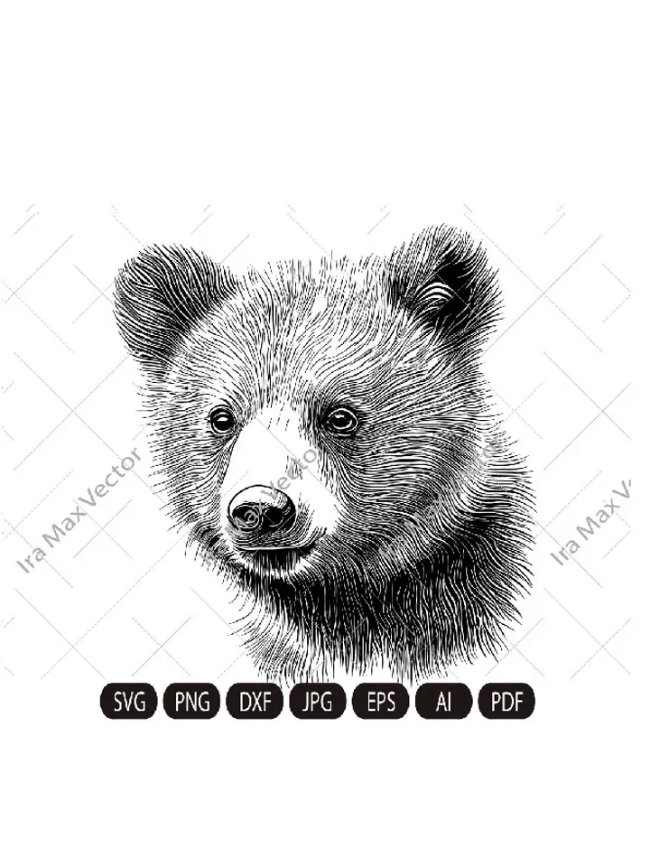 Baby bear svg,Bear cub face svg,Little bear,Grizzly Bear,Bear detailed, Safari African Animals,Bear Cub,Nursery Wall Art, Kids Printable