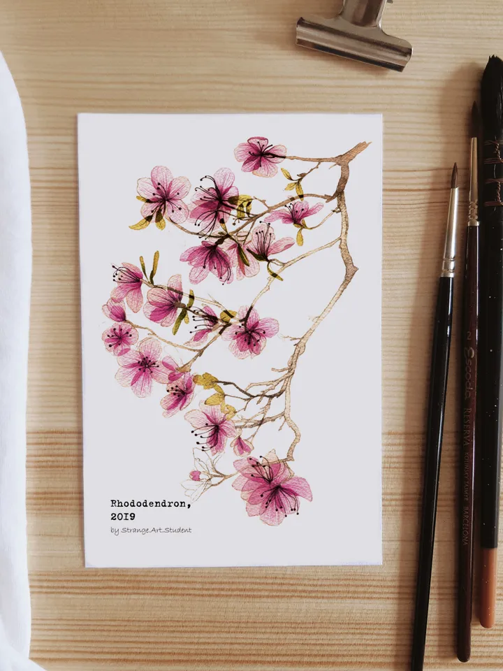 Set of 4 botanical postcards TRANSPARENT FLOWERS
