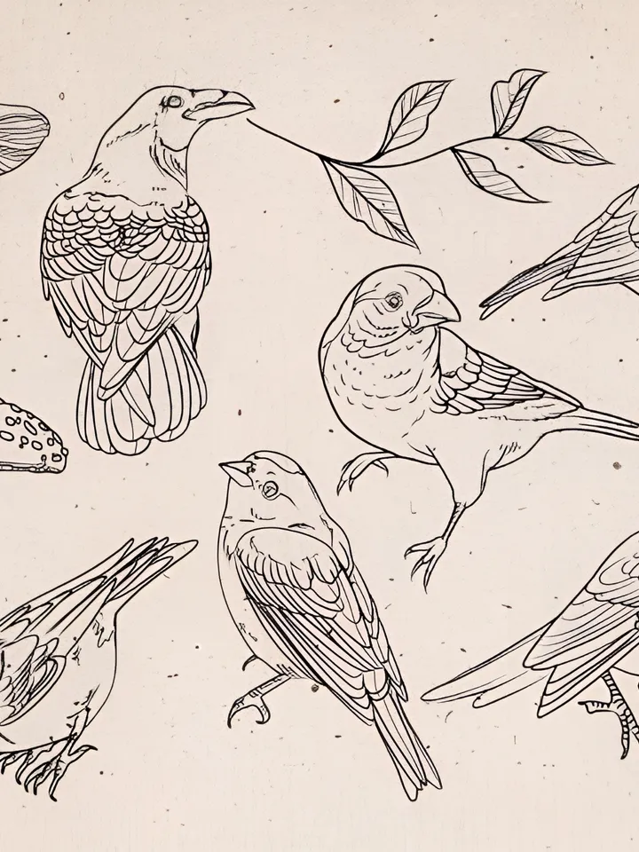 Procreate - Tattoo Basic Stencil Set