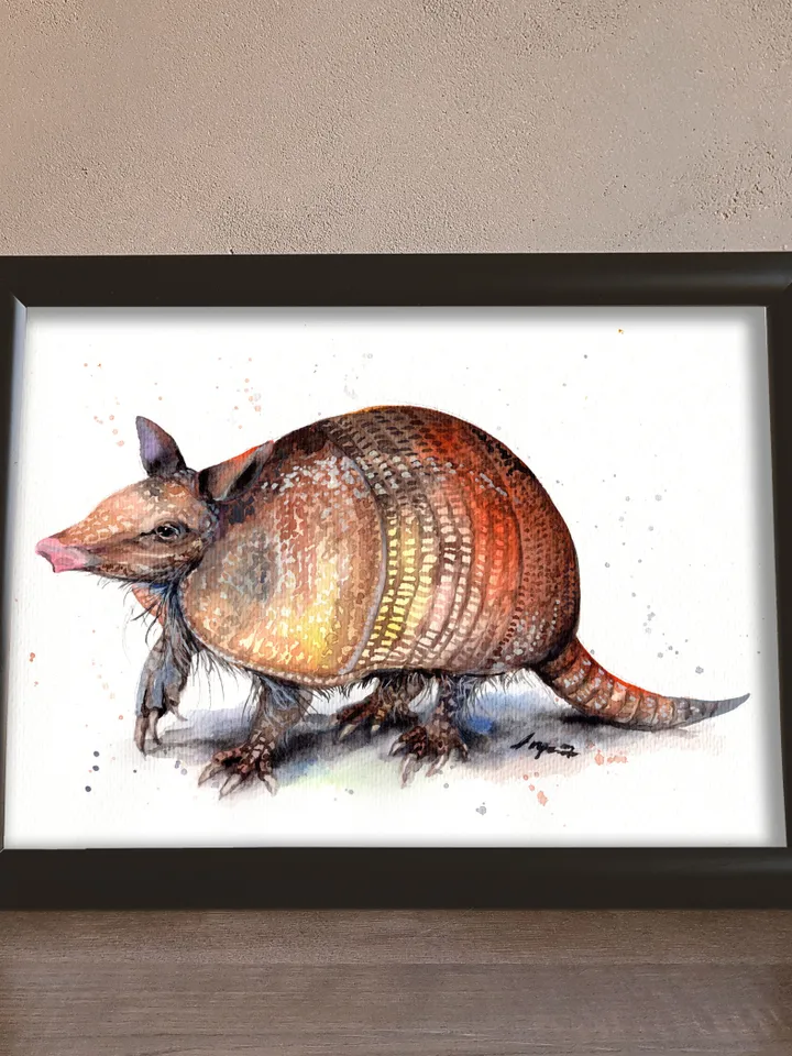 Armadillo original watercolor, animals painting, wall decor, 7x10 in art for animal lovers by Anne Gorywine
