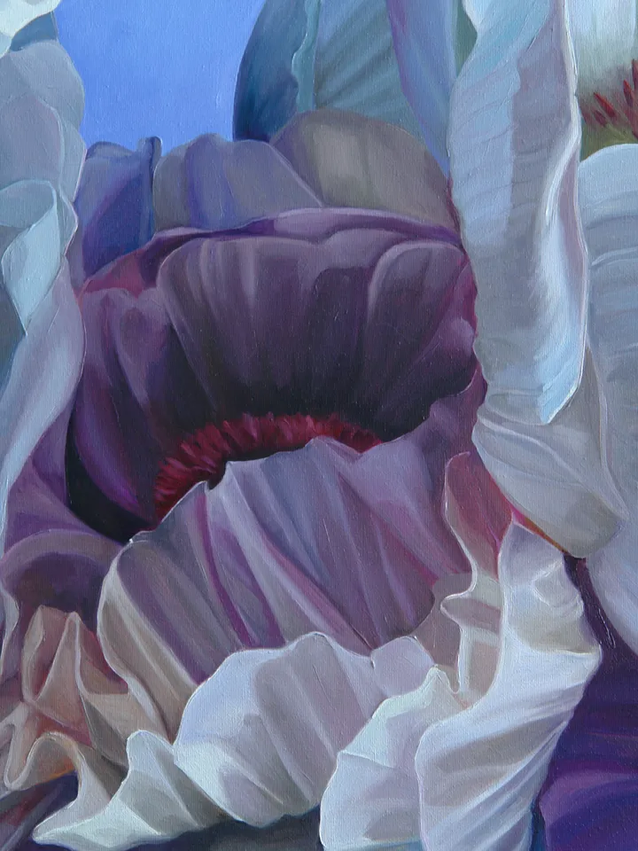 Purple extravaganza oil painting Poppies