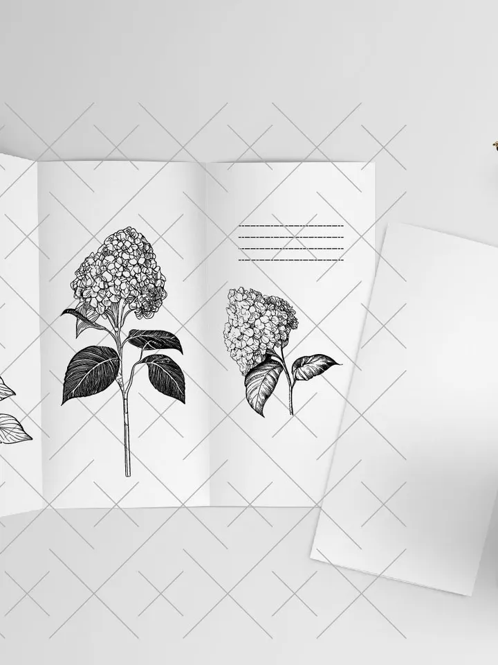 Hydrangea SVG, Hydrangea PNG , Vintage Botanical Line Art, Clip Art, sublimation, Logo Design, Engraving