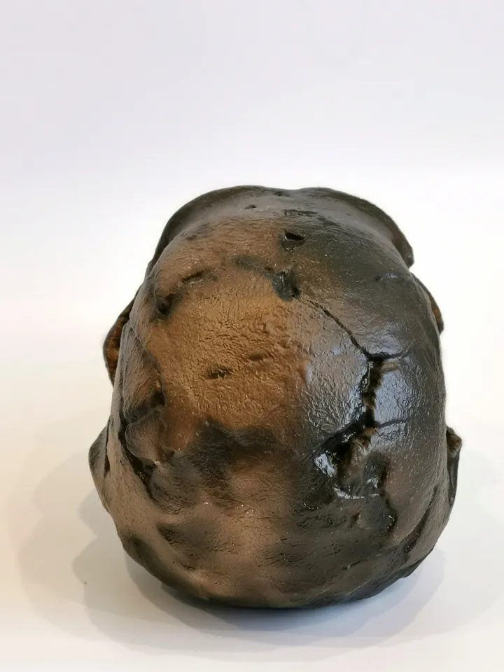 Homo Naledi NEO Skull Replica LES 1, Prehistoric Fossil Collection, Realistic Hominid Skull, Museum Quality