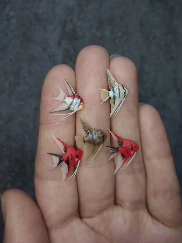 Set of miniature clay freshwater angelfish 10 pcs, tiny fish for diorama, dollhouse or resin art