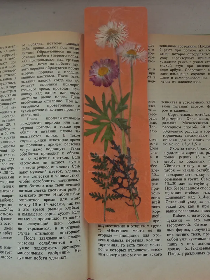 set of 4 bookmarks for herbarium books, handmade bookmarks with dried flowers, memories of summer