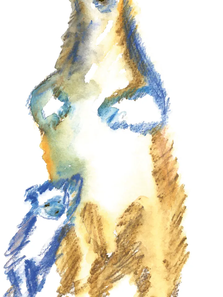 A drawing of a bear with a bear cub