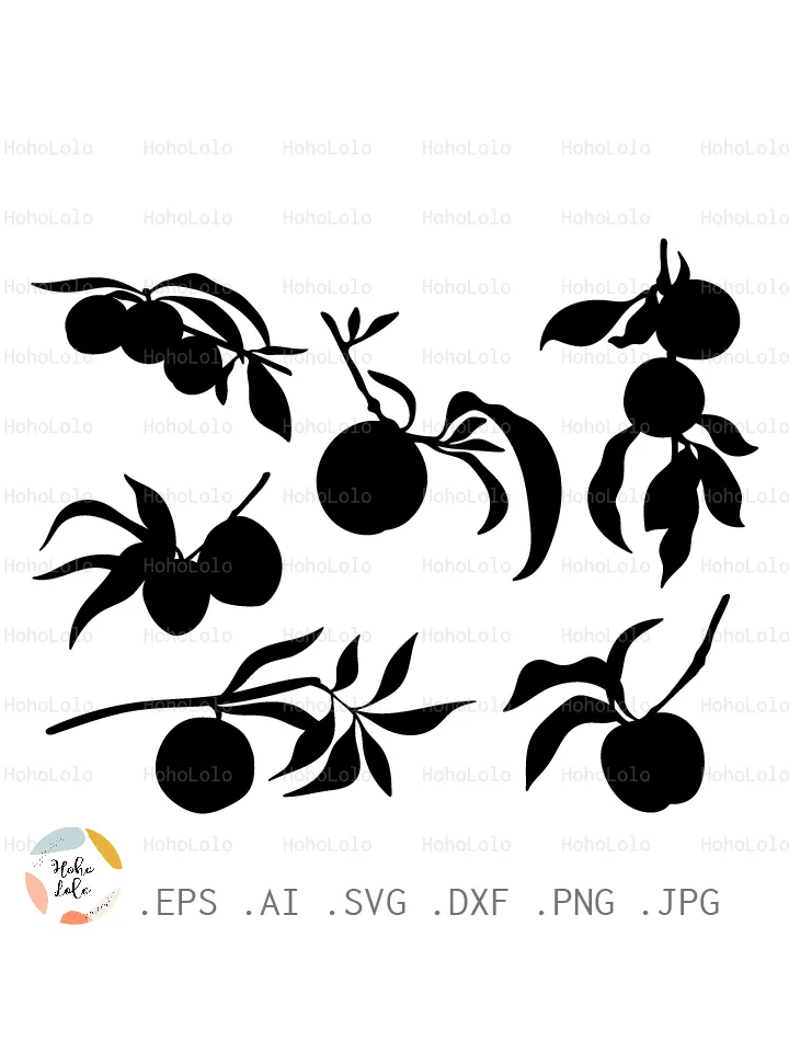 Peach Svg, Apricot Svg, Peach Silhouette, Peach Cricut, Apricot Stencil, Apricot Template Dxf, Peach Clipart Png