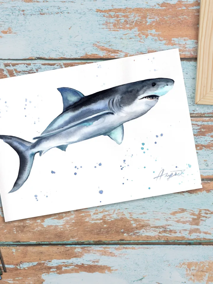 Shark Original watercolor, fish painting, wall decor, 8x11 in hand-painted watercolor art by Anne Gorywine