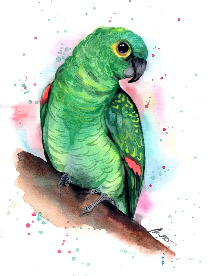 Green Parrot Bird Watercolour, bird painting, wall decor, birds lover gift, 8x11 in handmade art by Anne Gorywine