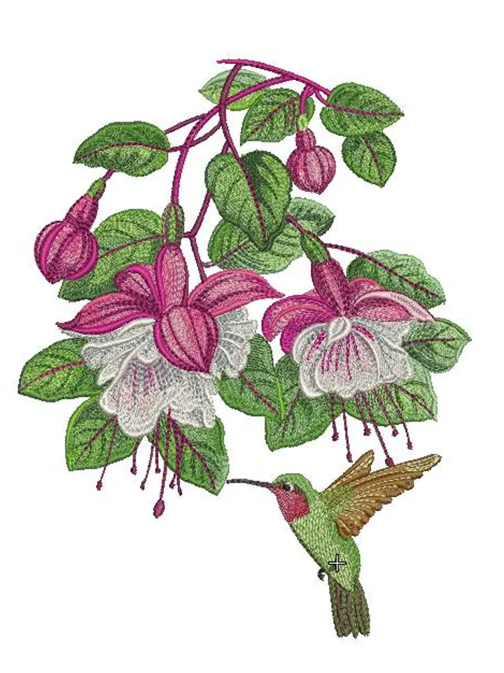 Fuchsia 10x12  Embroidery Design
