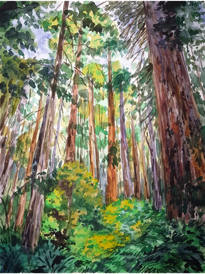 Redwood Painting Sequoia Original Art National Park Painting California Artwork 15 by 11 Above Sofa Art by TatianaArtShop