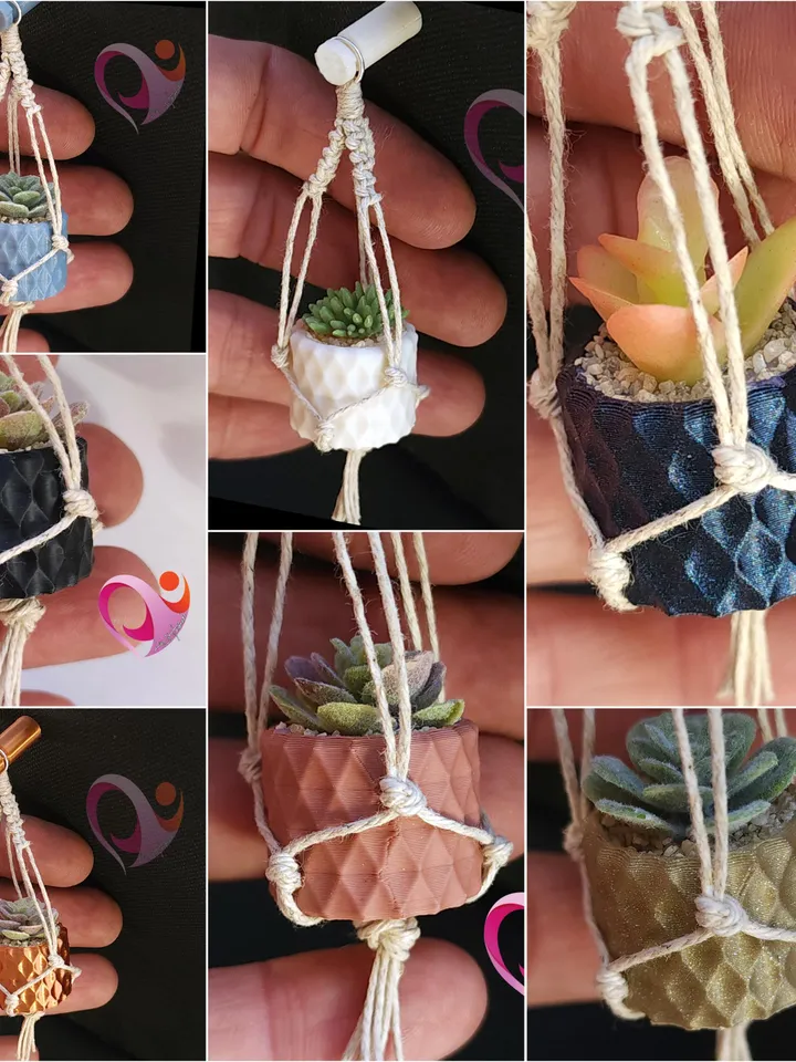 Cute Succulent Magnet Boho Plant Decor for Fridge Locker Perfect Gift for Plant Lovers