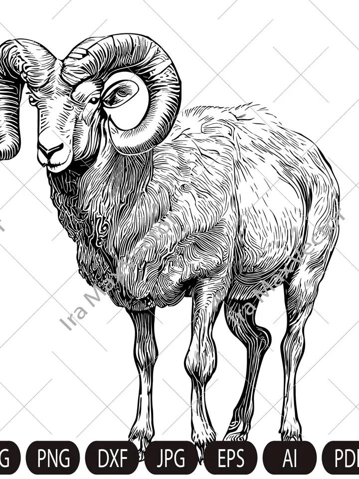 Ram Sheep SVG, Mountain sheep, Farm Animal Graphics Illustration,Ram T-Shirt ,Sheep Printable Clip Art ,Vector Digital Dxf Png Eps Ai