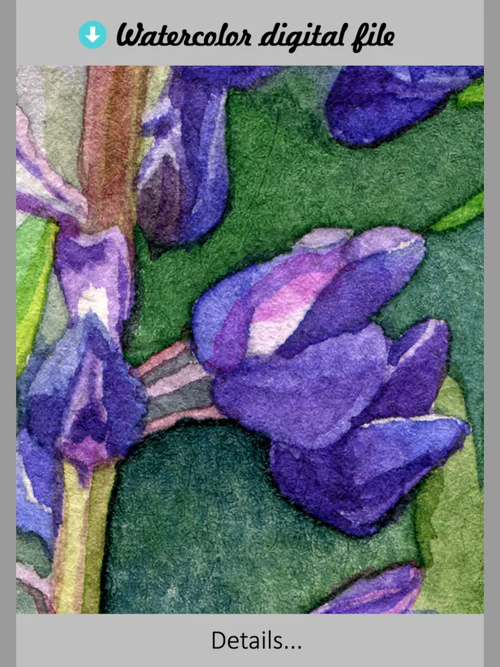Watercolor digital print Purple Lupine Flowers, wildflowers