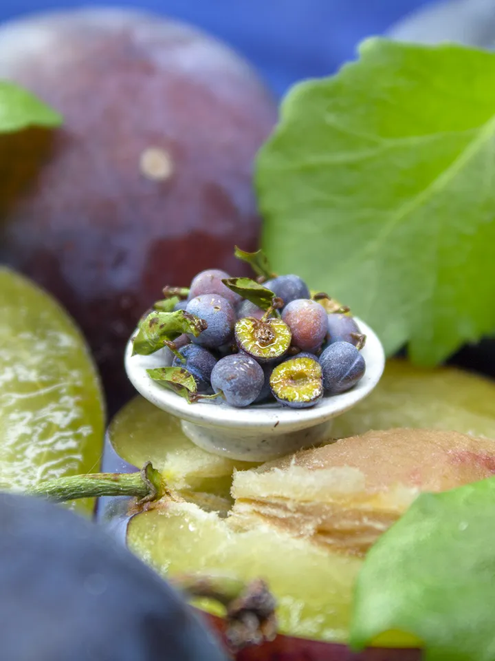 TUTORIAL Miniature cut plum with polymer clay