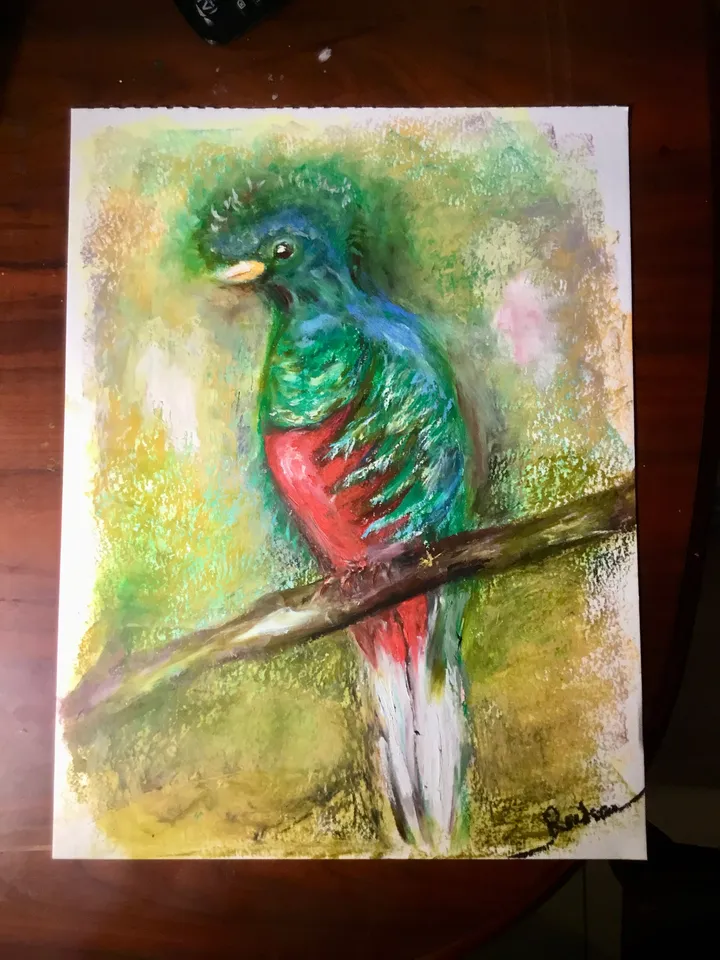Quetzal bird,original oil pastel painting,exotic birds painting,colourful oil pastel painting,affordable art,wall decoration gift.